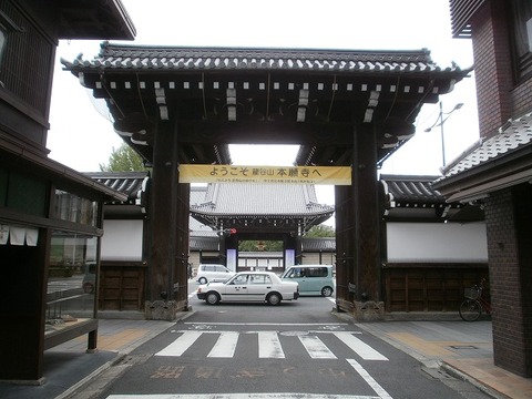 P6030008
