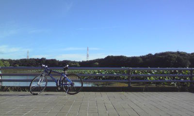 大泉緑地+2