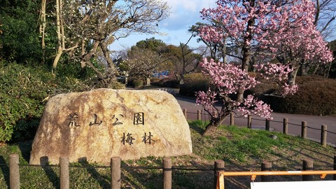 20170308_073149