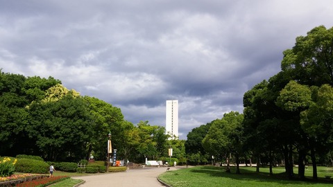 20170701_081114
