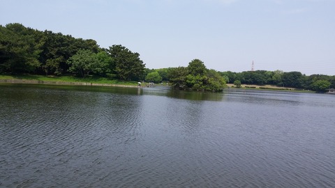 20170514_105756