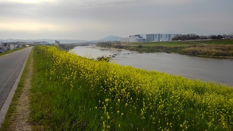 KIMG3656