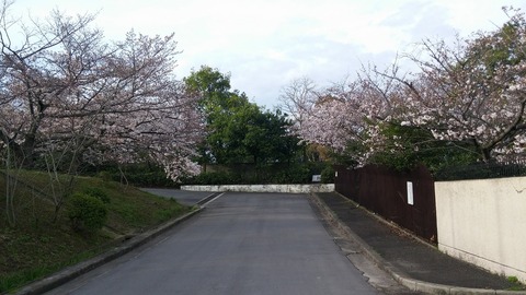 20170406_072251