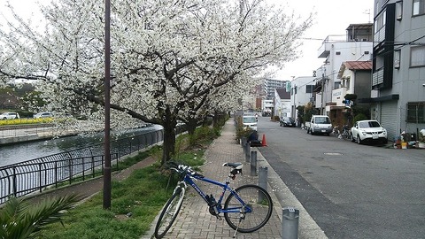 月州の川 (2)