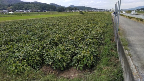 KIMG3880