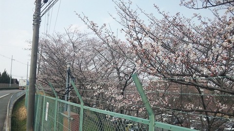 PAP_0028
