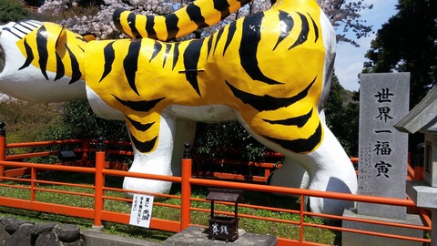20170413_124411