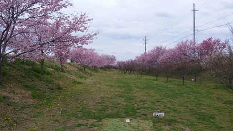 20170406_150746