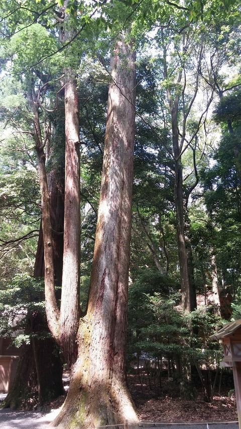20170614_134844