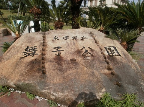 P6220008