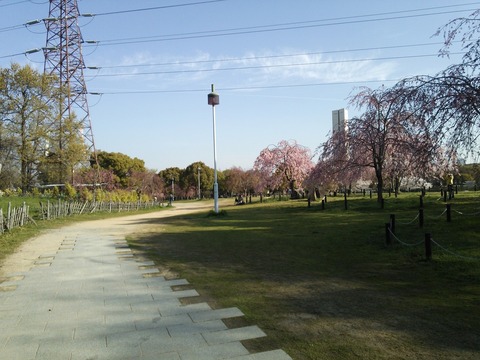 ４月２日 (1)