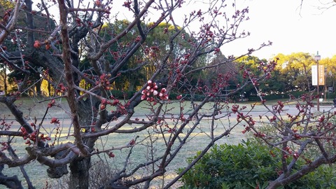 20170222_071847