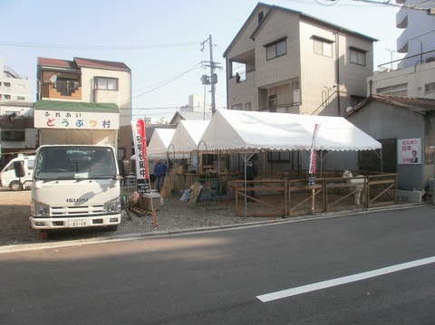 P3110010