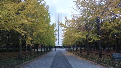 １１月１５日 (2)