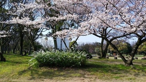 20150331_080308