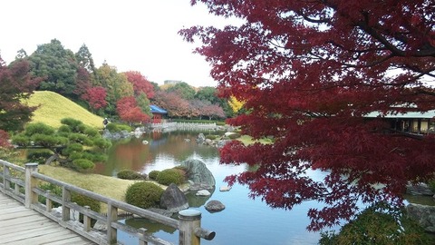 １１月１８日 (7)
