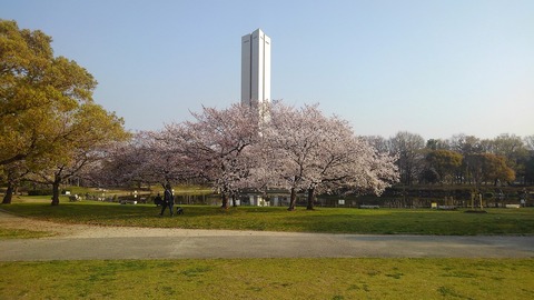 KIMG0871