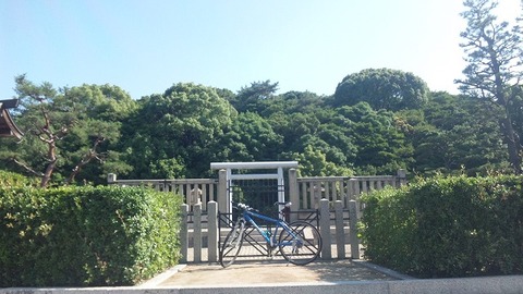 ６月１５日 (14)