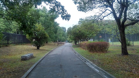 KIMG2116