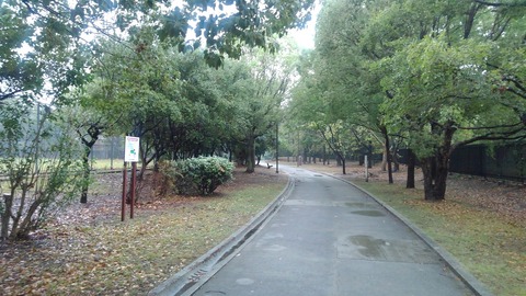 KIMG2117