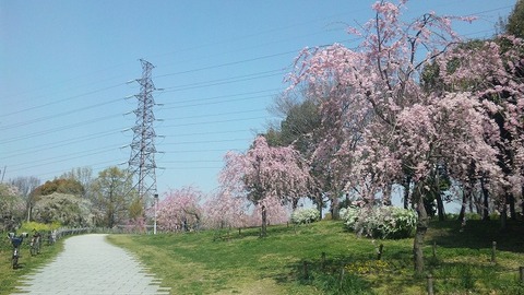 ４月１２日 (4)