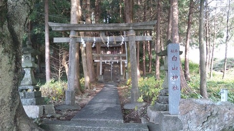 元旦 (8)