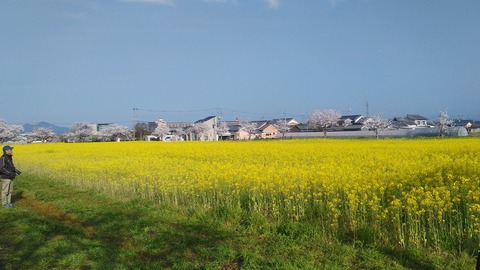 KIMG4693