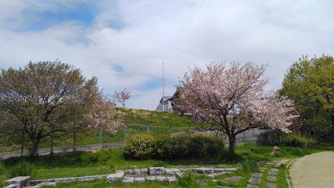 KIMG7391