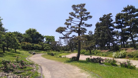 KIMG3744