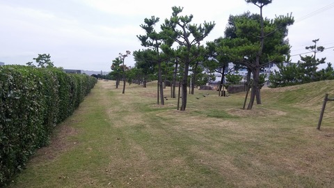 20170717_113457