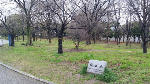 20170401_075759