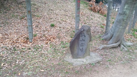 20170306_074409