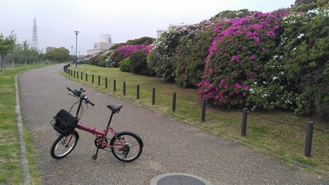 KIMG7503