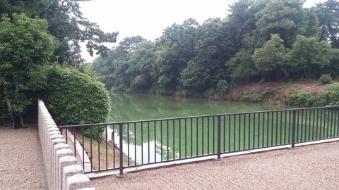 20170705_072522