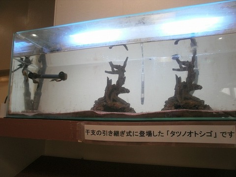 P2230070