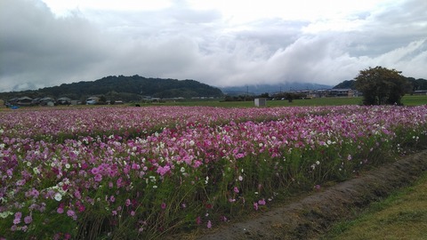 KIMG0018
