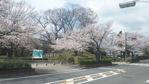 ４月６日 (4)