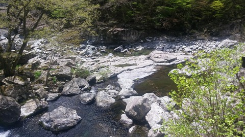 20170504_120944