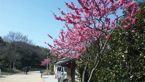 ４月２日 (17)