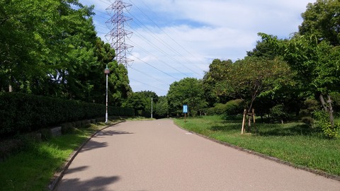 20170722_082611