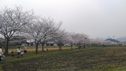 KIMG2713