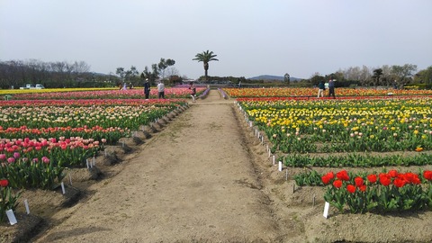KIMG7135
