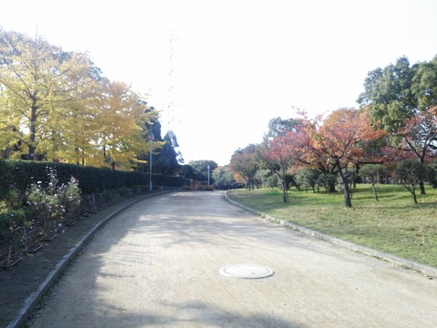 １１月２４日 (9)