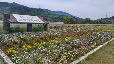 KIMG8673 (1)