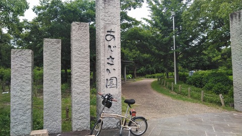 KIMG4371