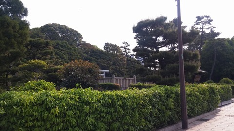 20170501_080050