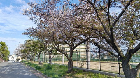 KIMG1199