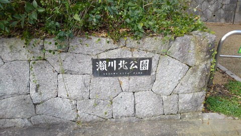 KIMG0662