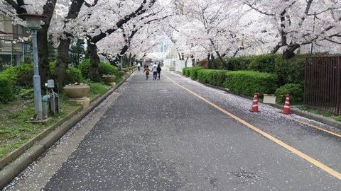 20170409_123306