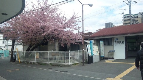 ４月２日 (30)